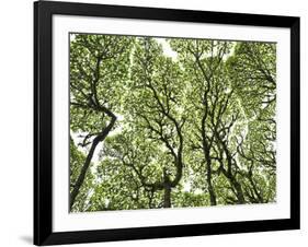 Galapagos Islands, Ecuador-Karine Aigner-Framed Photographic Print