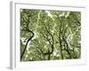 Galapagos Islands, Ecuador-Karine Aigner-Framed Photographic Print