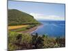 Galapagos Islands, UNESCO World Heritage Site, Ecuador, South America-Christian Kober-Mounted Photographic Print