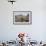 Galapagos Marine Iguana (Amblyrhynchus Cristatus) Basking in Urbina Bay-Michael Nolan-Framed Photographic Print displayed on a wall