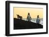 Galapagos penguin roosting on rocks, Galapagos-Tui De Roy-Framed Photographic Print