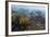 Galapagos Penguin (Spheniscus Mendiculus) Underwater at Isabela Island-Michael Nolan-Framed Photographic Print