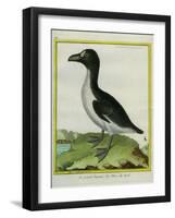 Galápagos Penguin-Georges-Louis Buffon-Framed Giclee Print