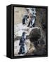 Galapagos Penguins (Spheniscus Mendiculus), Isla Isabela, Galapagos Islands, Ecuador-Christian Kober-Framed Stretched Canvas