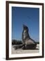 Galapagos Sea Lion Galapagos, Ecuador-Pete Oxford-Framed Premium Photographic Print