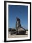 Galapagos Sea Lion Galapagos, Ecuador-Pete Oxford-Framed Premium Photographic Print