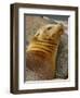 Galapagos Sea Lion, Gardner Bay, Espaola Island, Galapagos Islands, Ecuador-Pete Oxford-Framed Photographic Print