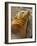 Galapagos Sea Lion, Gardner Bay, Espaola Island, Galapagos Islands, Ecuador-Pete Oxford-Framed Photographic Print