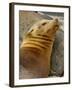 Galapagos Sea Lion, Gardner Bay, Espaola Island, Galapagos Islands, Ecuador-Pete Oxford-Framed Photographic Print