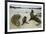 Galapagos Sea Lions and Pup on Beach-DLILLC-Framed Photographic Print