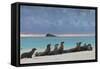 Galapagos Sea Lions (Zalophus Wollebaeki), Gardner Bay, Espanola Islands, UNESCO Site, Ecuador-Michael Nolan-Framed Stretched Canvas