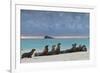 Galapagos Sea Lions (Zalophus Wollebaeki), Gardner Bay, Espanola Islands, UNESCO Site, Ecuador-Michael Nolan-Framed Photographic Print