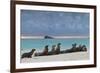 Galapagos Sea Lions (Zalophus Wollebaeki), Gardner Bay, Espanola Islands, UNESCO Site, Ecuador-Michael Nolan-Framed Photographic Print