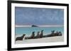 Galapagos Sea Lions (Zalophus Wollebaeki), Gardner Bay, Espanola Islands, UNESCO Site, Ecuador-Michael Nolan-Framed Photographic Print