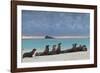 Galapagos Sea Lions (Zalophus Wollebaeki), Gardner Bay, Espanola Islands, UNESCO Site, Ecuador-Michael Nolan-Framed Photographic Print