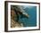 Galapagos Sealion, Gardner Bay, Española Island, Galapagos Islands, Ecuador-Pete Oxford-Framed Photographic Print