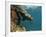 Galapagos Sealion, Gardner Bay, Española Island, Galapagos Islands, Ecuador-Pete Oxford-Framed Photographic Print