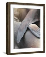 Galapagos Sealion (Zalophus califonianus wollebaeki) mother and pup, Galapagos Islands-Jean Hosking-Framed Photographic Print