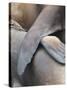 Galapagos Sealion (Zalophus califonianus wollebaeki) mother and pup, Galapagos Islands-Jean Hosking-Stretched Canvas