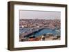 Galata Bridge in Istanbul-Creatista-Framed Photographic Print