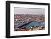 Galata Bridge in Istanbul-Creatista-Framed Photographic Print