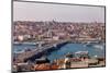 Galata Bridge in Istanbul-Creatista-Mounted Photographic Print