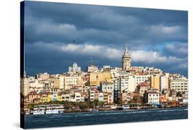 Galata Tower, Istambul, Turkey-David Ionut-Stretched Canvas