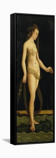 Galatea Standing on a Dolphin-Jacopo De Barbari-Framed Stretched Canvas