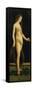 Galatea Standing on a Dolphin-Jacopo De Barbari-Framed Stretched Canvas