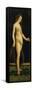 Galatea Standing on a Dolphin-Jacopo De Barbari-Framed Stretched Canvas