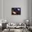 Galaxies and Nebulas of Outer Space-Randall Fung-Framed Photographic Print displayed on a wall