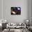 Galaxies and Nebulas of Outer Space-Randall Fung-Photographic Print displayed on a wall