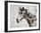 Galaxy Horse II-Irena Orlov-Framed Art Print