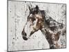 Galaxy Horse II-Irena Orlov-Mounted Art Print