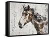 Galaxy Horse II-Irena Orlov-Framed Stretched Canvas