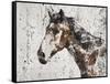 Galaxy Horse II-Irena Orlov-Framed Stretched Canvas