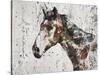 Galaxy Horse II-Irena Orlov-Stretched Canvas