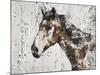 Galaxy Horse II-Irena Orlov-Mounted Art Print