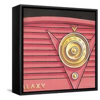 Galaxy Radio - Coral-Larry Hunter-Framed Stretched Canvas
