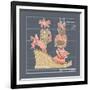 Galaxy Shoes - Espadrille Coral Dot-Larry Hunter-Framed Giclee Print