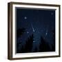 Galaxy with Framed with Pine Trees. Night Sky and Shooting Stars. Milky Way. Vector Illustration-acid2728k-Framed Art Print