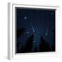 Galaxy with Framed with Pine Trees. Night Sky and Shooting Stars. Milky Way. Vector Illustration-acid2728k-Framed Art Print