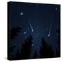 Galaxy with Framed with Pine Trees. Night Sky and Shooting Stars. Milky Way. Vector Illustration-acid2728k-Stretched Canvas