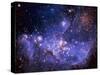 Galaxy-null-Stretched Canvas