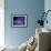 Galaxy-null-Framed Premium Photographic Print displayed on a wall