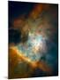 Galaxy-null-Mounted Photographic Print