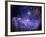 Galaxy-null-Framed Photographic Print