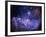 Galaxy-null-Framed Photographic Print