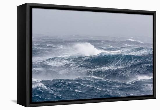 Gale Force Westerly Winds Build Large Waves in the Drake Passage, Antarctica, Polar Regions-Michael Nolan-Framed Stretched Canvas