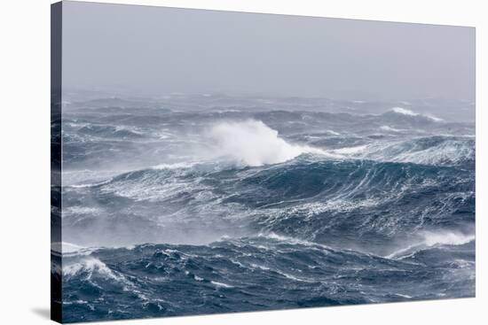 Gale Force Westerly Winds Build Large Waves in the Drake Passage, Antarctica, Polar Regions-Michael Nolan-Stretched Canvas